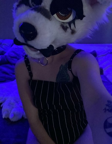 strwbrryinsides ポルノスター セックス アーカイブ