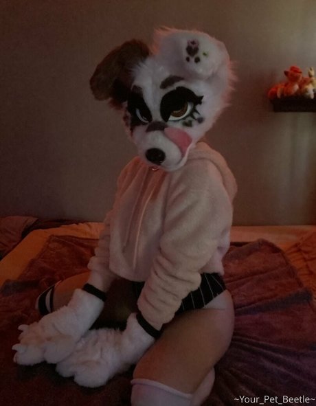 strwbrryinsides 限定モデル 写真