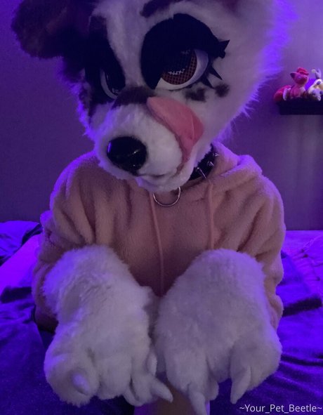 strwbrryinsides スター ヌード 画像