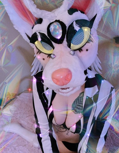 プリティオンリーファンズ 美しいヌード 写真