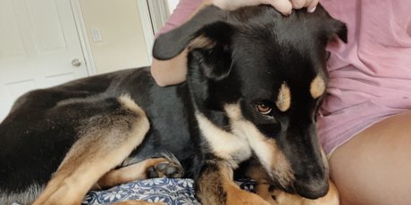 Leah Booth ポルノスター ヌード 画像