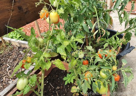 ブロンドビキニOnlyFans 可愛い アーカイブ