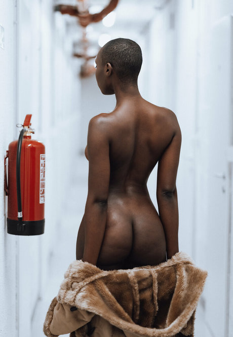 pgraphyfree 美しいスター 写真