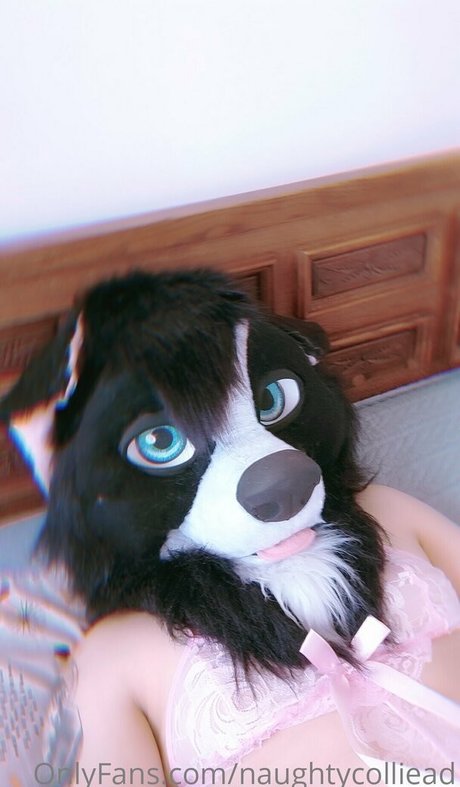 naughtycolliead アダルトスター 画像