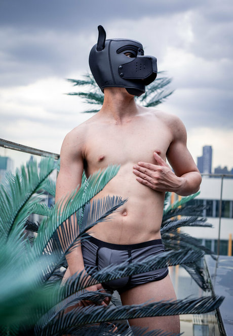 ジムガールズオンリーファンズ 美しい ギャラリー