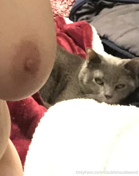 couldshouldwood セクシーなスター 写真