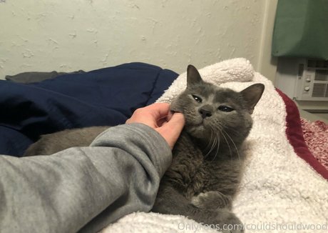 couldshouldwood xxxポルノスター 写真