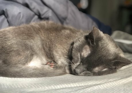 couldshouldwood 素敵な女優 アーカイブ