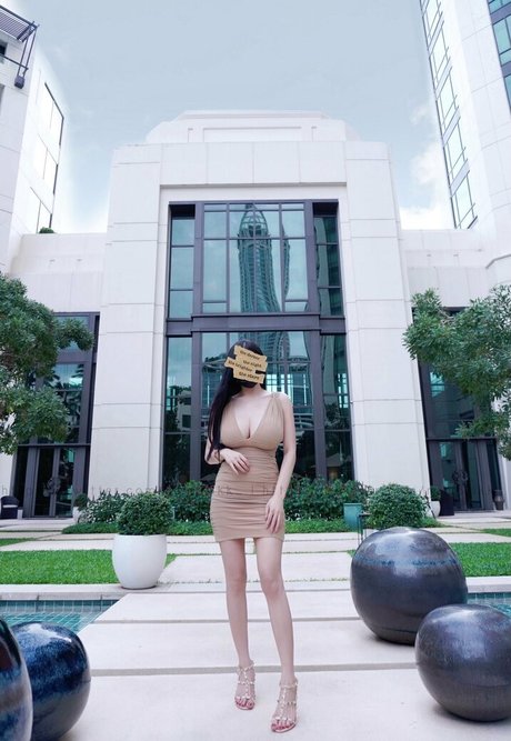 Npxvip セクシーなスター ギャラリー