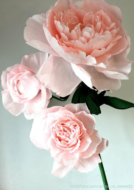 美女ヌードOnlyFans HD 画像