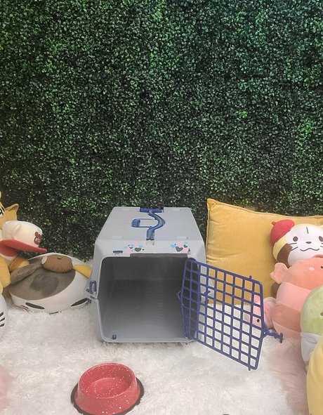 peppermavis ポルノモデル ギャラリー