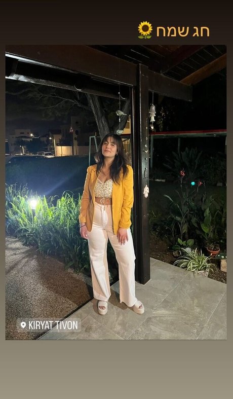 Noam L ホットスター 画像