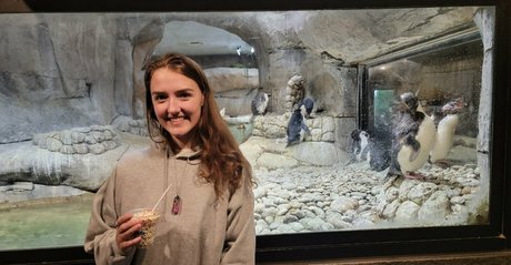 foxyopheliaa 素敵なスター 画像