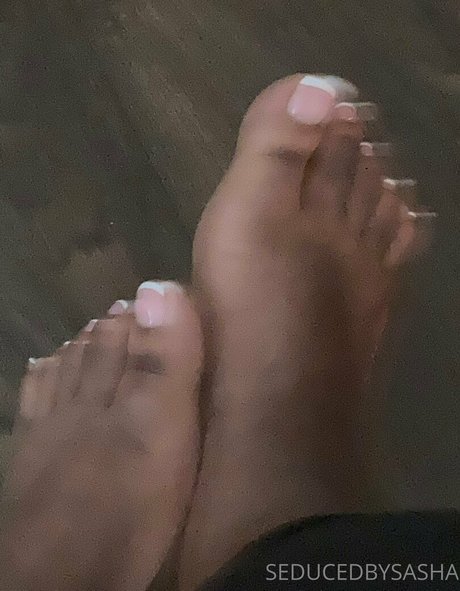 seducedbysasha ポルノモデル アーカイブ