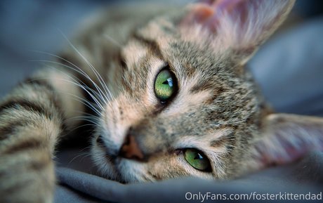 日本の女子高生OnlyFans アートxxx ギャラリー