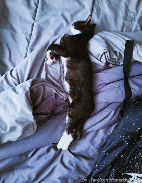 巨乳義母OnlyFans アートヌード 写真