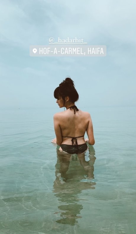 Linoy Tavor 限定スター ギャラリー