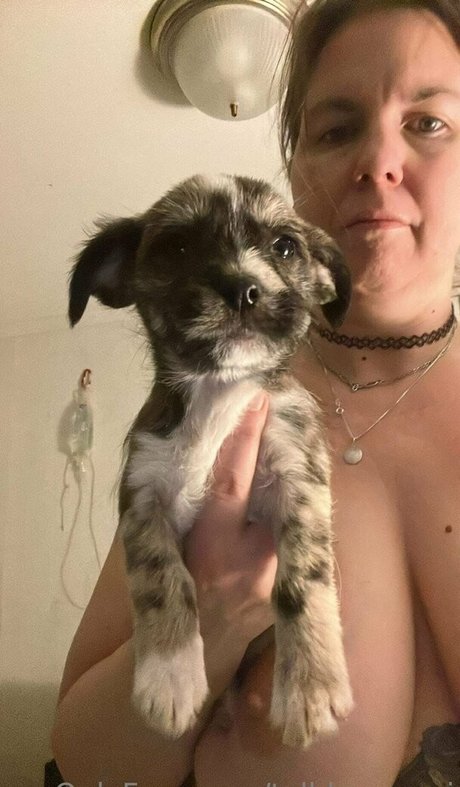 talldancermi トップ女優 写真