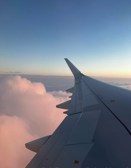 babyski mask ポルノスター xxx 写真