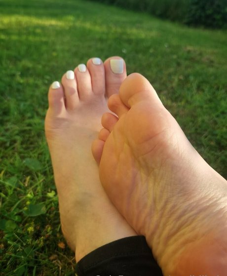 msdidikvip ポルノスター 独占 写真