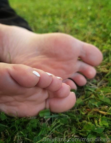 msdidikvip アダルト女優 写真