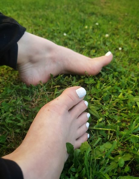 msdidikvip スター 画像