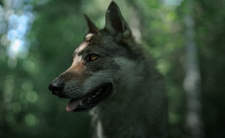 OnlyFansの写真 ホットヌード 画像