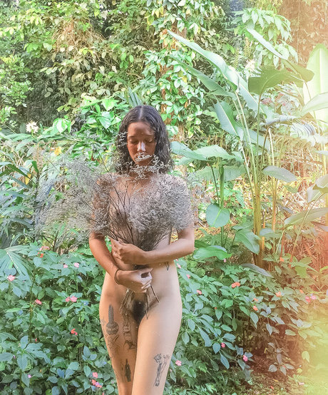 Balegat ポルノスター 写真