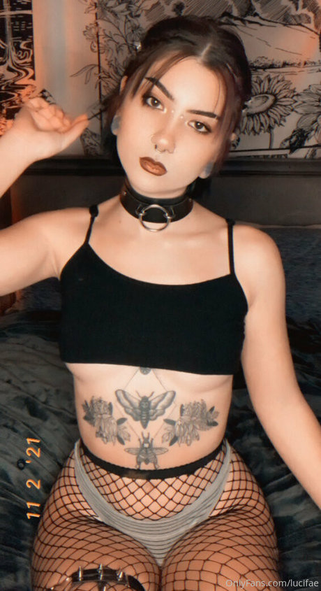 lucifae 最高のスター 写真