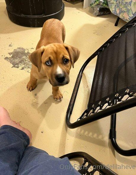 delilaheve エロティックなスター アーカイブ