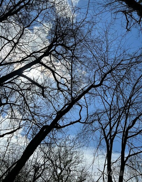 delilaheve セクシーモデル 画像