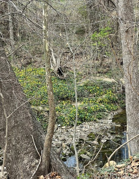 delilaheve ヌード女優 写真