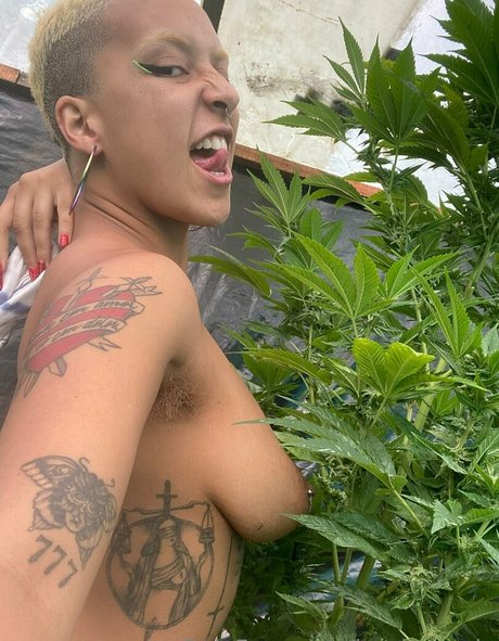 katdemonia セックスポルノスター 写真