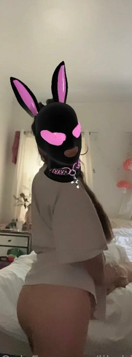 lil chinita ポルノスター 無料 写真