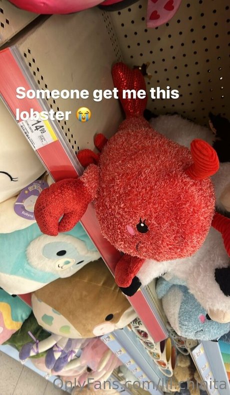 lil chinita ポルノスター 裸 ギャラリー