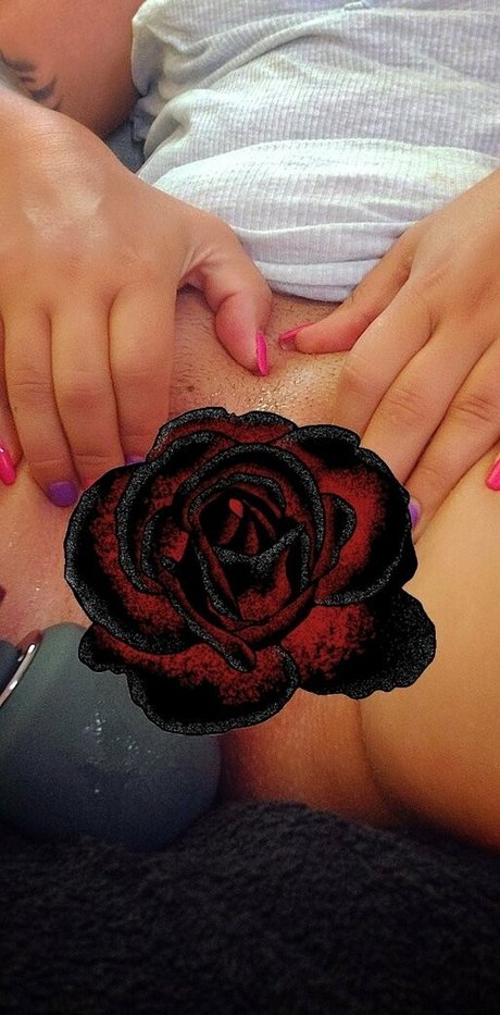 firebird ash トップスター 写真