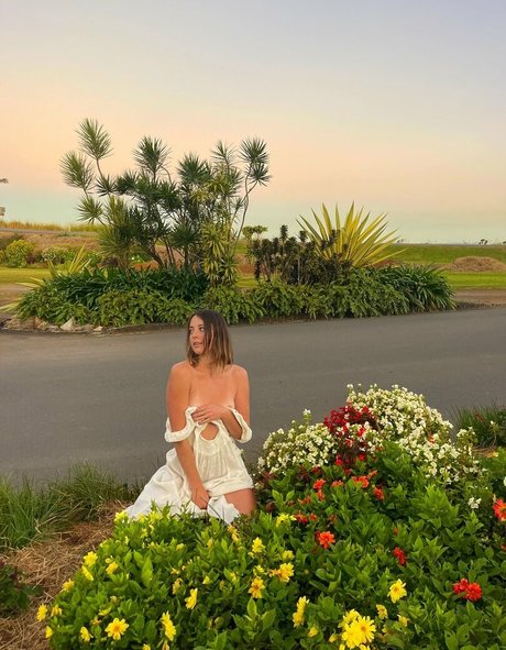 Seashark ポルノスター パーフェクト 写真