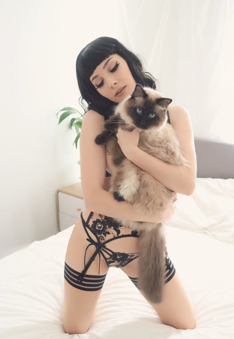 曲線美のラテン系オンリーファンズ セクシーヌード 写真