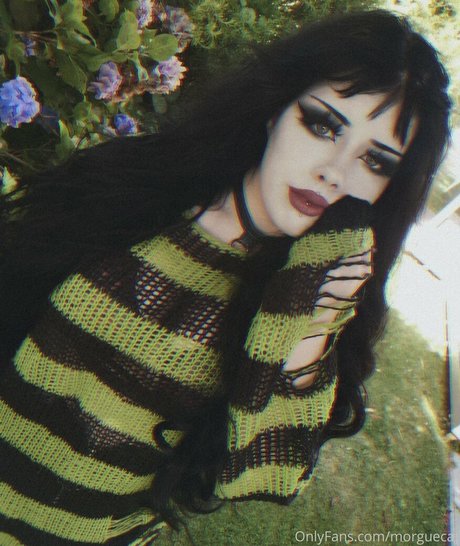 morguecat 独占モデル 写真