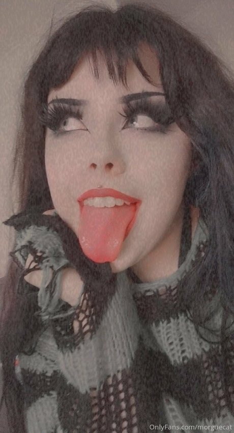 morguecat HDモデル 画像