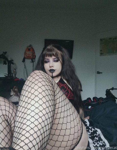 家族限定ファン トップ アーカイブ