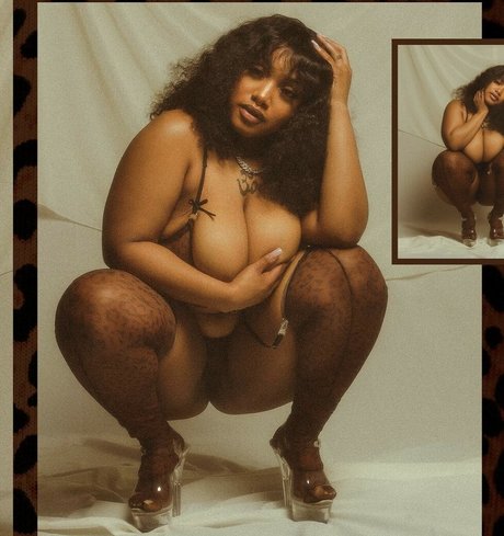 Oyastorms セクシーモデル 写真