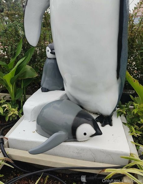 毛深いBBW オンリーファンズ 無料 写真