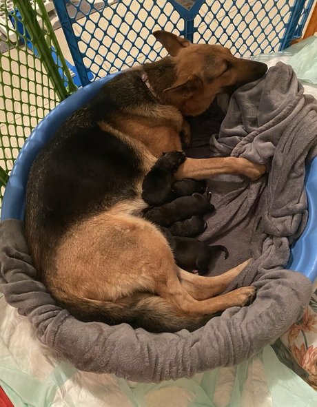 reallillyhallxx 無料モデル 写真