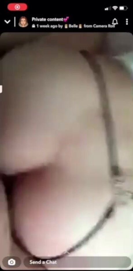 bellapixi 限定モデル 画像