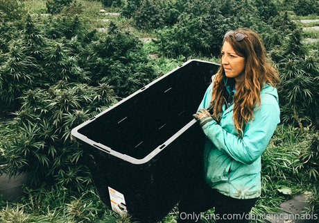 お金 オンリーファンズ 無料 写真