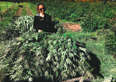 ポーグ xxx オンリーファンズ 無料xxx 画像