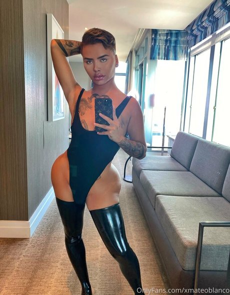 xmateoblanco 完璧なスター 写真