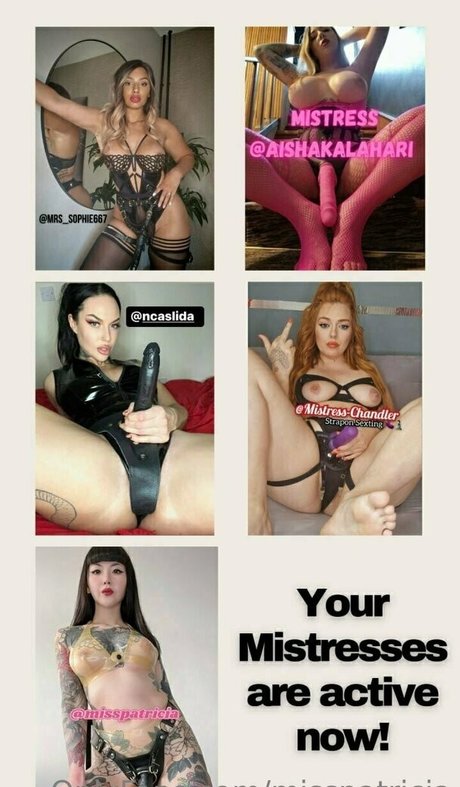 バニー無料OnlyFans セクシーヌード 写真