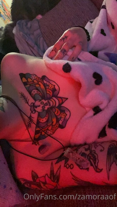 zamoraaof HDモデル 写真